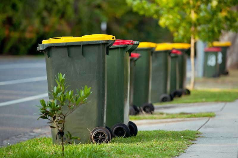 wheelie bin cleaning